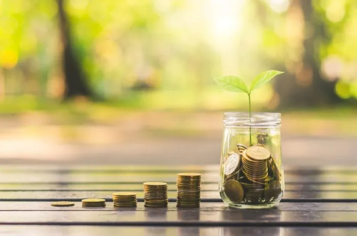 Monete che crescono in una pianta: simbolo di rendimenti di investimento composti